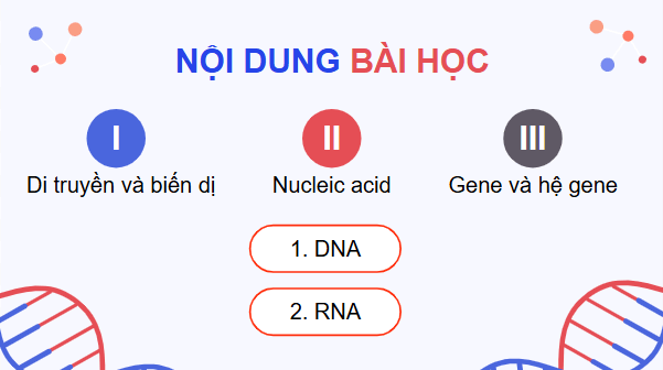 Giáo án điện tử KHTN 9 Cánh diều Bài 33: Gene là trung tâm của di truyền học | PPT Khoa học tự nhiên 9