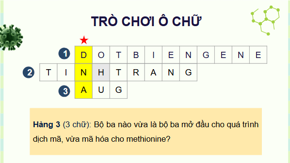 Giáo án điện tử KHTN 9 Cánh diều Bài 35: Nhiễm sắc thể và bộ nhiễm sắc thể | PPT Khoa học tự nhiên 9