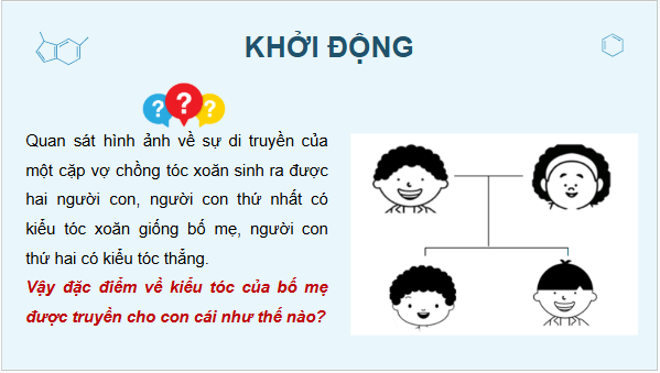 Giáo án điện tử KHTN 9 Chân trời sáng tạo Bài 36: Các quy luật di truyền của Mendel | PPT Khoa học tự nhiên 9
