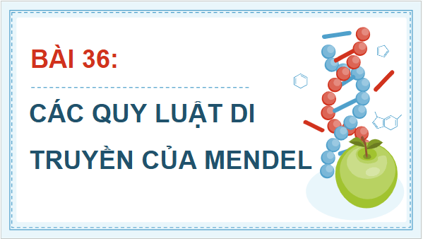 Giáo án điện tử KHTN 9 Chân trời sáng tạo Bài 36: Các quy luật di truyền của Mendel | PPT Khoa học tự nhiên 9