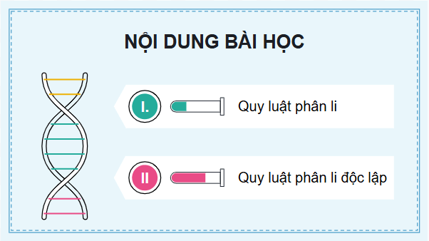 Giáo án điện tử KHTN 9 Kết nối tri thức Bài 37: Các quy luật di truyền của Mendel | PPT Khoa học tự nhiên 9