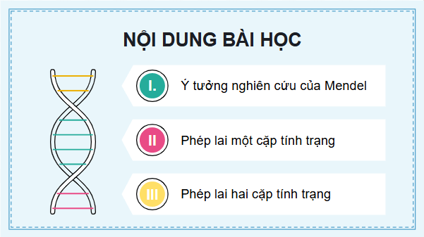 Giáo án điện tử KHTN 9 Cánh diều Bài 38: Quy luật di truyền của Mendel | PPT Khoa học tự nhiên 9