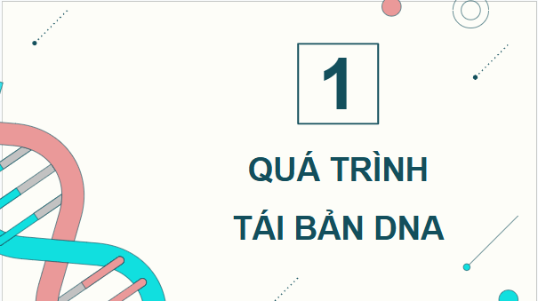 Giáo án điện tử KHTN 9 Chân trời sáng tạo Bài 39: Quá trình tái bản, phiên mã và dịch mã | PPT Khoa học tự nhiên 9