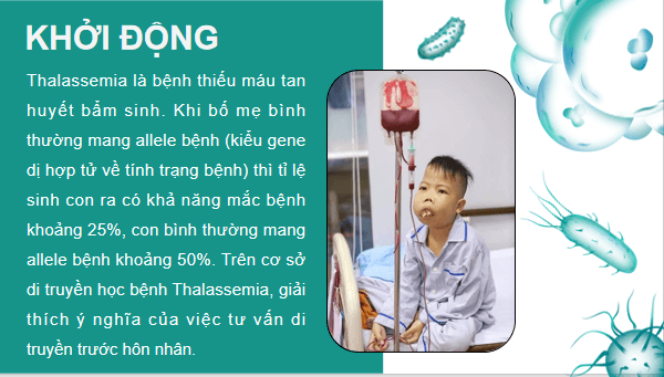 Giáo án điện tử KHTN 9 Cánh diều Bài 40: Di truyền học người | PPT Khoa học tự nhiên 9