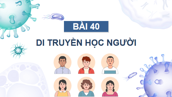 Giáo án điện tử KHTN 9 Cánh diều Bài 40: Di truyền học người | PPT Khoa học tự nhiên 9