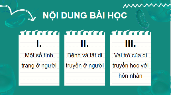 Giáo án điện tử KHTN 9 Cánh diều Bài 40: Di truyền học người | PPT Khoa học tự nhiên 9