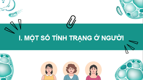 Giáo án điện tử KHTN 9 Cánh diều Bài 40: Di truyền học người | PPT Khoa học tự nhiên 9