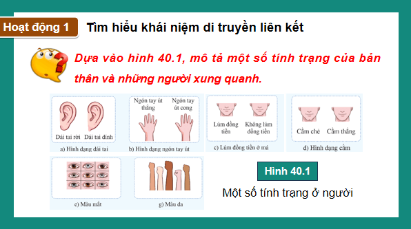 Giáo án điện tử KHTN 9 Cánh diều Bài 40: Di truyền học người | PPT Khoa học tự nhiên 9