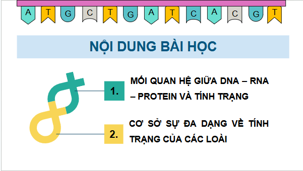 Giáo án điện tử KHTN 9 Chân trời sáng tạo Bài 40: Từ gene đến tính trạng | PPT Khoa học tự nhiên 9