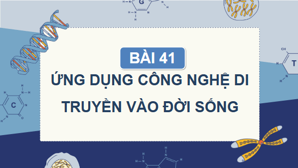 Giáo án điện tử KHTN 9 Cánh diều Bài 41: Ứng dụng công nghệ di truyền vào đời sống | PPT Khoa học tự nhiên 9