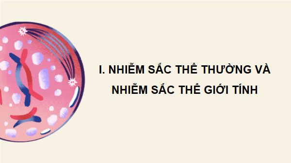 Giáo án điện tử KHTN 9 Kết nối tri thức Bài 44: Nhiễm sắc thể giới tính và cơ chế xác định giới tính | PPT Khoa học tự nhiên 9