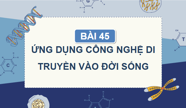 Giáo án điện tử KHTN 9 Chân trời sáng tạo Bài 45: Ứng dụng công nghệ di truyền vào đời sống | PPT Khoa học tự nhiên 9