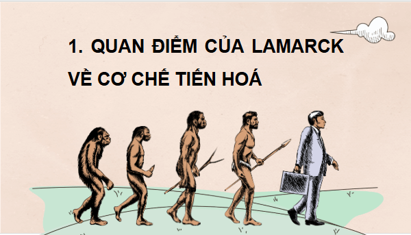 Giáo án điện tử KHTN 9 Chân trời sáng tạo Bài 47: Cơ chế tiến hoá | PPT Khoa học tự nhiên 9