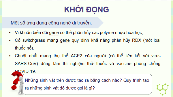 Giáo án điện tử KHTN 9 Kết nối tri thức Bài 48: Ứng dụng công nghệ di truyền vào đời sống | PPT Khoa học tự nhiên 9