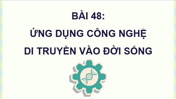 Giáo án điện tử KHTN 9 Kết nối tri thức Bài 48: Ứng dụng công nghệ di truyền vào đời sống | PPT Khoa học tự nhiên 9