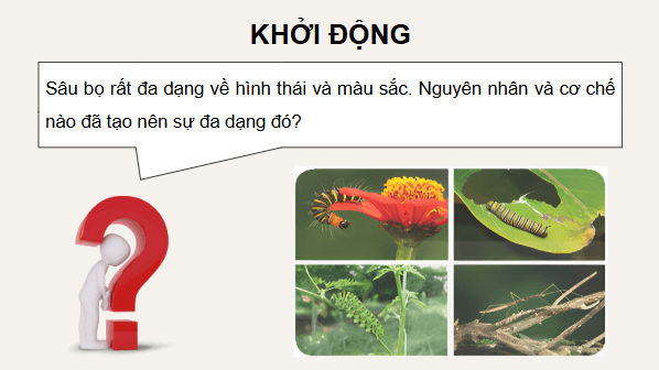 Giáo án điện tử KHTN 9 Kết nối tri thức Bài 50: Cơ chế tiến hoá | PPT Khoa học tự nhiên 9
