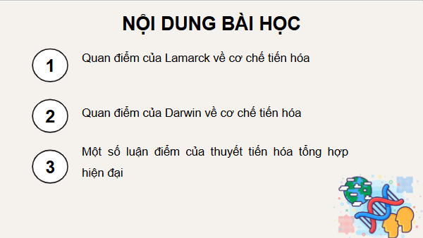 Giáo án điện tử KHTN 9 Kết nối tri thức Bài 50: Cơ chế tiến hoá | PPT Khoa học tự nhiên 9