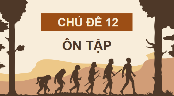 Giáo án điện tử KHTN 9 Chân trời sáng tạo Ôn tập chủ đề 12 | PPT Khoa học tự nhiên 9