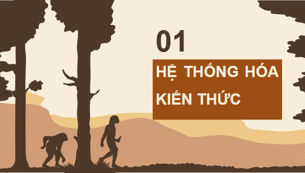 Giáo án điện tử KHTN 9 Chân trời sáng tạo Ôn tập chủ đề 12 | PPT Khoa học tự nhiên 9