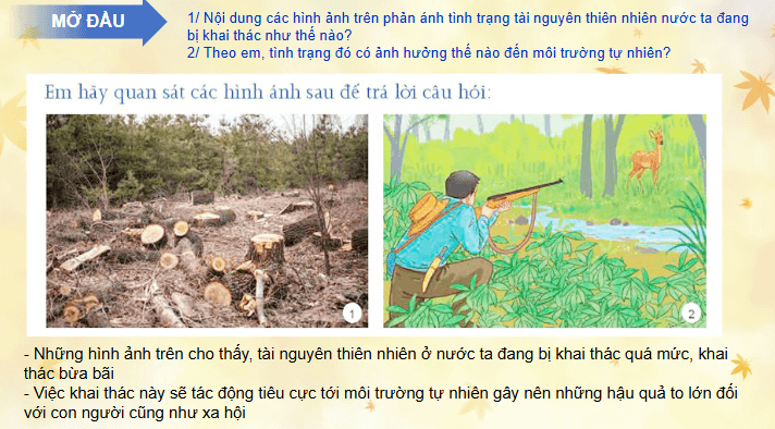 Giáo án điện tử Chuyên đề KTPL 11 Kết nối tri thức Bài 1: Tác động tiêu cực và nguyên nhân phát sinh tác động của phát triển kinh tế đến môi trường tự nhiên | PPT Chuyên đề Kinh tế Pháp luật 11