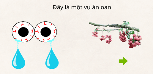 Giáo án Lịch Sử 11 Chân trời sáng tạo Bài 10: Cuộc cải cách của Lê Thánh Tông (thế kỉ XV)