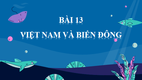 Giáo án điện tử Lịch Sử 11 Kết nối tri thức Bài 13: Việt Nam và Biển Đông | PPT Lịch Sử 11