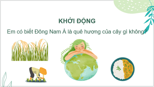 Giáo án điện tử Lịch Sử 6 Kết nối tri thức Bài 12: Sự hình thành và bước đầu phát triển của các vương quốc phong kiến ở Đông Nam Á (từ thế kỉ VII đến thế kỉ X) | PPT Lịch Sử 6