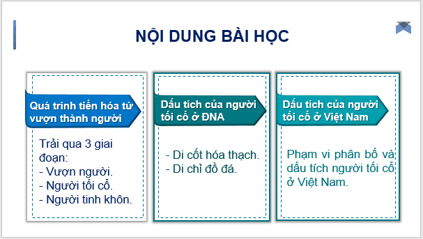 Giáo án điện tử Lịch Sử 6 Cánh diều Bài 3: Nguồn gốc loài người | PPT Lịch Sử 6