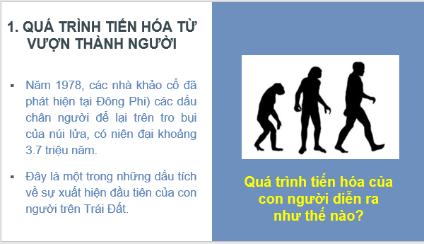 Giáo án điện tử Lịch Sử 6 Cánh diều Bài 3: Nguồn gốc loài người | PPT Lịch Sử 6