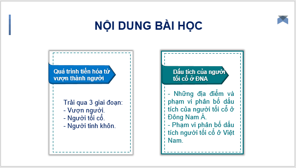 Giáo án điện tử Lịch Sử 6 Chân trời sáng tạo Bài 3: Nguồn gốc loài người | PPT Lịch Sử 6