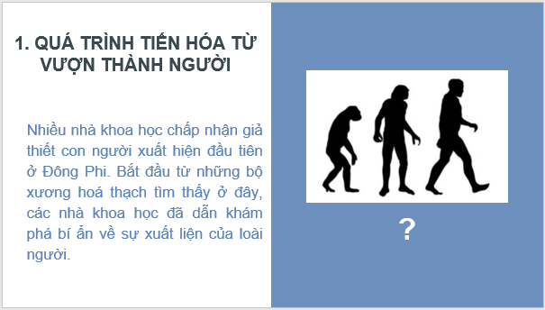 Giáo án điện tử Lịch Sử 6 Kết nối tri thức Bài 4: Nguồn gốc loài người | PPT Lịch Sử 6