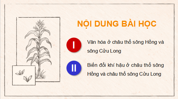 Giáo án điện tử Lịch Sử 9 Kết nối tri thức Chủ đề 2: Văn minh châu thổ sông Hồng và sông Cửu Long | PPT Lịch Sử 9