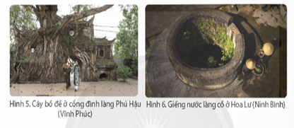 Giáo án Lịch Sử và Địa Lí lớp 4 Chân trời sáng tạo Bài 10: Một số nét văn hoá ở làng quê vùng đồng bằng Bắc Bộ