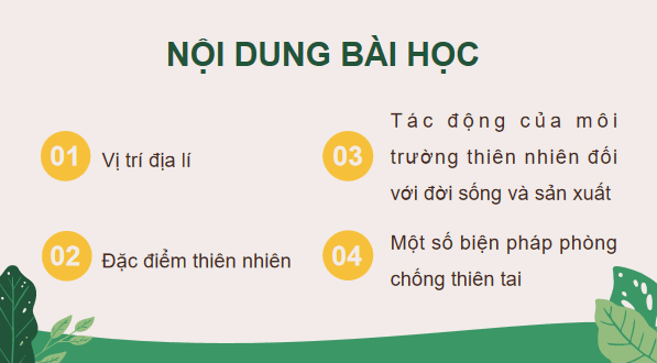 Giáo án điện tử Lịch Sử và Địa Lí lớp 4 Cánh diều Bài 11: Thiên nhiên vùng Duyên hải miền Trung | PPT Lịch Sử và Địa Lí 4