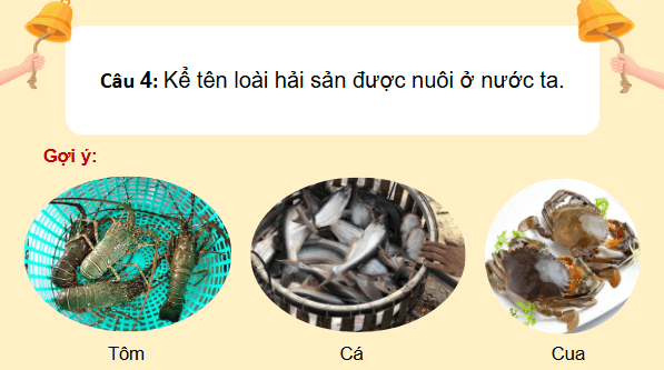 Giáo án điện tử Lịch Sử và Địa Lí lớp 4 Chân trời sáng tạo Bài 15: Dân cư và hoạt động sản xuất ở vùng duyên hải miền Trung | PPT Lịch Sử và Địa Lí 4