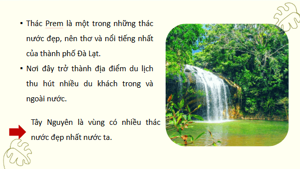 Giáo án điện tử Lịch Sử và Địa Lí lớp 4 Cánh diều Bài 15: Thiên nhiên vùng Tây Nguyên | PPT Lịch Sử và Địa Lí 4