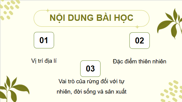Giáo án điện tử Lịch Sử và Địa Lí lớp 4 Cánh diều Bài 15: Thiên nhiên vùng Tây Nguyên | PPT Lịch Sử và Địa Lí 4