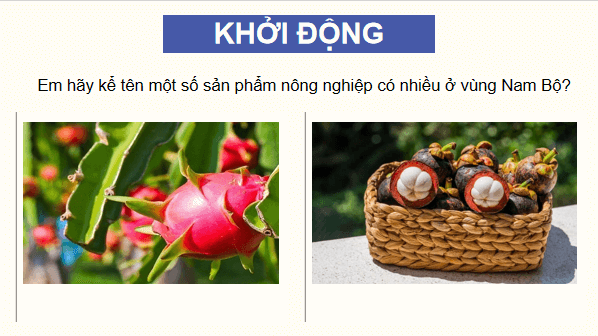 Giáo án điện tử Lịch Sử và Địa Lí lớp 4 Cánh diều Bài 19: Dân cư, hoạt động sản xuất và một số nét văn hóa ở vùng Nam Bộ | PPT Lịch Sử và Địa Lí 4