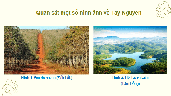 Giáo án điện tử Lịch Sử và Địa Lí lớp 4 Chân trời sáng tạo Bài 19: Thiên nhiên vùng Tây Nguyên | PPT Lịch Sử và Địa Lí 4