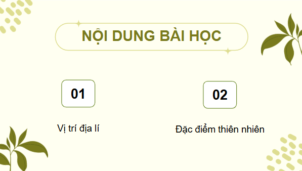 Giáo án điện tử Lịch Sử và Địa Lí lớp 4 Chân trời sáng tạo Bài 19: Thiên nhiên vùng Tây Nguyên | PPT Lịch Sử và Địa Lí 4