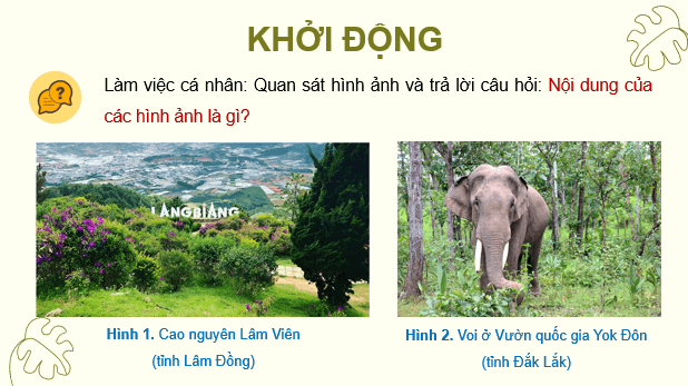 Giáo án điện tử Lịch Sử và Địa Lí lớp 4 Kết nối tri thức Bài 20: Thiên nhiên vùng Tây Nguyên | PPT Lịch Sử và Địa Lí 4