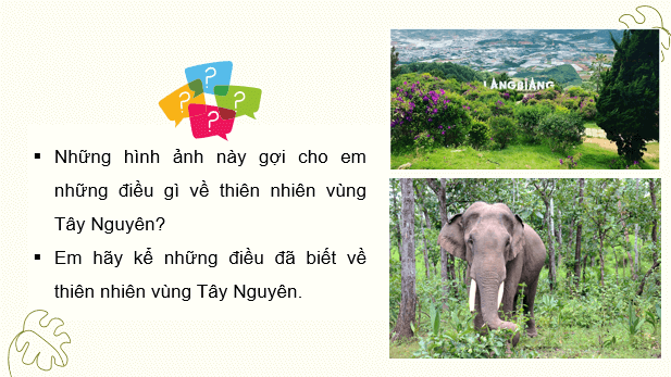 Giáo án điện tử Lịch Sử và Địa Lí lớp 4 Kết nối tri thức Bài 20: Thiên nhiên vùng Tây Nguyên | PPT Lịch Sử và Địa Lí 4