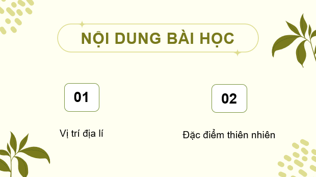 Giáo án điện tử Lịch Sử và Địa Lí lớp 4 Kết nối tri thức Bài 20: Thiên nhiên vùng Tây Nguyên | PPT Lịch Sử và Địa Lí 4