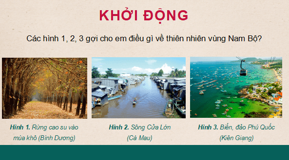 Giáo án điện tử Lịch Sử và Địa Lí lớp 4 Chân trời sáng tạo Bài 23: Thiên nhiên vùng Nam Bộ | PPT Lịch Sử và Địa Lí 4
