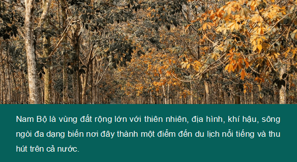 Giáo án điện tử Lịch Sử và Địa Lí lớp 4 Chân trời sáng tạo Bài 23: Thiên nhiên vùng Nam Bộ | PPT Lịch Sử và Địa Lí 4