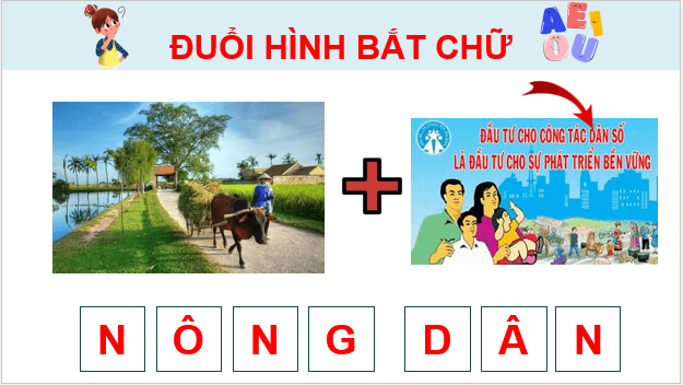 Giáo án điện tử Lịch Sử và Địa Lí lớp 4 Kết nối tri thức Bài 8: Thiên nhiên vùng Đồng bằng Bắc Bộ | PPT Lịch Sử và Địa Lí 4