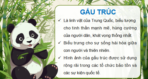 Giáo án điện tử Lịch Sử và Địa Lí lớp 5 Kết nối tri thức Bài 18: Nước Cộng hoà Nhân dân Trung Hoa | PPT Lịch Sử và Địa Lí 5