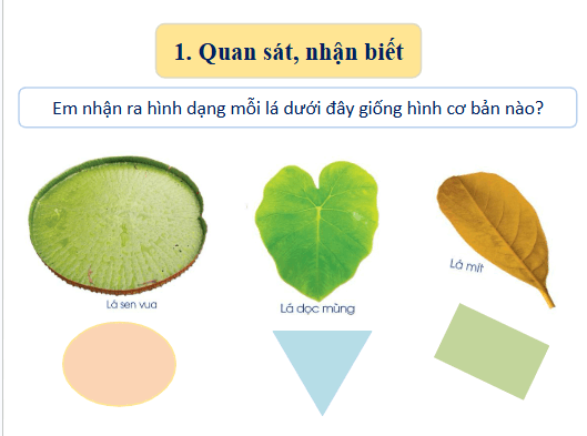 Giáo án điện tử Mĩ thuật lớp 1 Cánh diều Bài 11: Tạo hình với lá cây | PPT Mĩ thuật 1