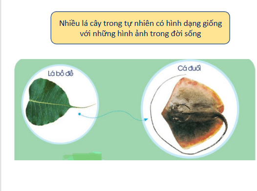 Giáo án điện tử Mĩ thuật lớp 1 Cánh diều Bài 11: Tạo hình với lá cây | PPT Mĩ thuật 1