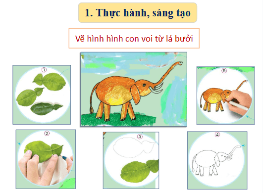 Giáo án điện tử Mĩ thuật lớp 1 Cánh diều Bài 11: Tạo hình với lá cây | PPT Mĩ thuật 1